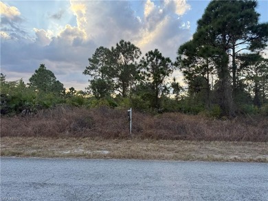 Lehigh Acres Area Lot For Sale in Lehigh Acres Florida