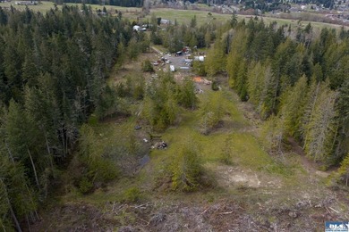 Make your building dreams come true in Sequim. Central to - photo 11