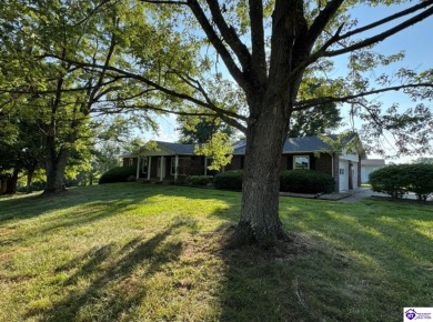 Lake Home For Sale in Ekron, Kentucky