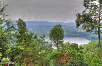 Lake Lot For Sale in New Tazewell, Tennessee
