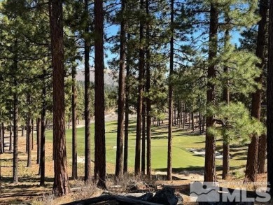 Lake Tahoe - Douglas County Acreage For Sale in Carson City Nevada