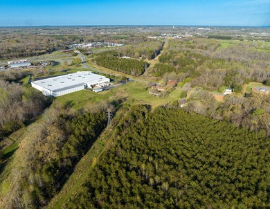 Prime 40+/- acre tract located approximately 0.3 miles from - photo 7