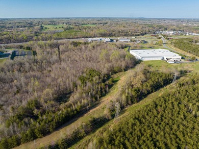 Prime 40+/- acre tract located approximately 0.3 miles from - photo 8