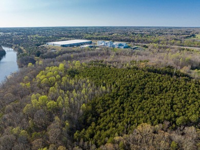 Prime 40+/- acre tract located approximately 0.3 miles from - photo 9