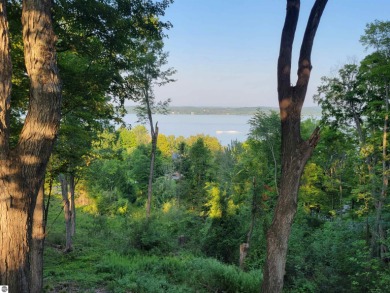 Torch Lake Lot For Sale in Rapid City Michigan