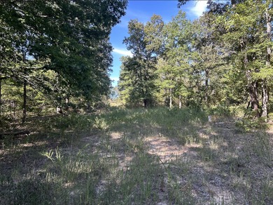 Current River Acreage For Sale in Doniphan Missouri