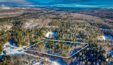 Lake Acreage For Sale in Loon Lake, New York