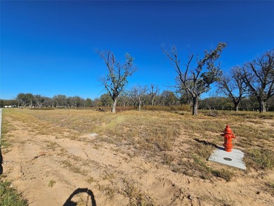 Howdy! Welcome to The Ranches neighborhood of Pecan Plantation - photo 12