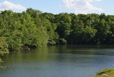Great Lakefront lot on Holiday Lake! Very few lake lots - photo 13