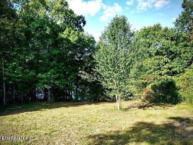 Great Lakefront lot on Holiday Lake! Very few lake lots - photo 15