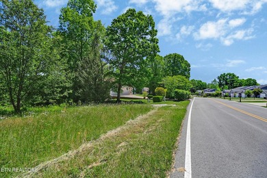 Great Lakefront lot on Holiday Lake! Very few lake lots - photo 16