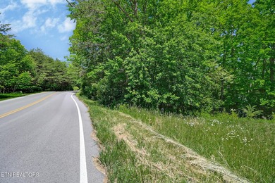 Great Lakefront lot on Holiday Lake! Very few lake lots - photo 17