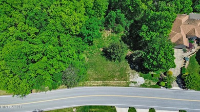 Great Lakefront lot on Holiday Lake! Very few lake lots - photo 23