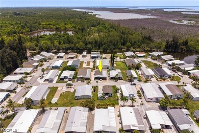 Welcome to Pine Island Cove, where an active waterfront - photo 32