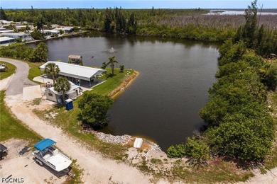 Welcome to Pine Island Cove, where an active waterfront - photo 36