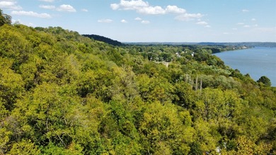 Ohio River Acreage For Sale in Patriot Indiana