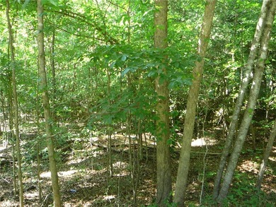 Mobile Home lot near Broadway Lake. Public water available - photo 1