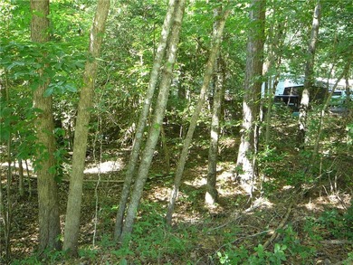Mobile Home lot near Broadway Lake. Public water available - photo 2