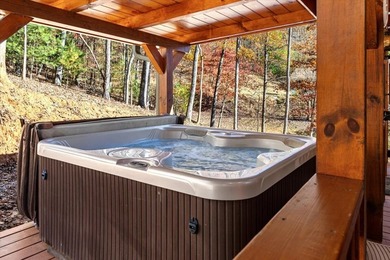 Experience mountain living at its finest in this newly - photo 22
