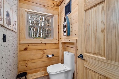 Experience mountain living at its finest in this newly - photo 41
