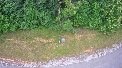 Clearwater Cove is a gated community that offers underground - photo 2