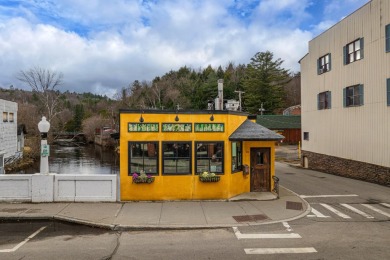 Lake Commercial For Sale in Saranac Lake, New York