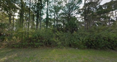 Port Charlotte Waterway Lakes Area Lot For Sale in Port Charlotte Florida