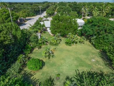 Looking for land in the Keys and a well-maintained home? This - photo 31