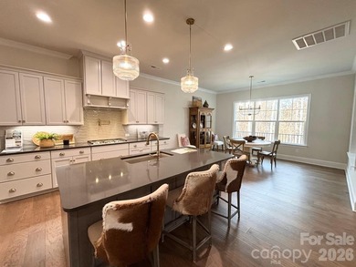 Beautiful new custom home in the Irish Creek Country Club - photo 9
