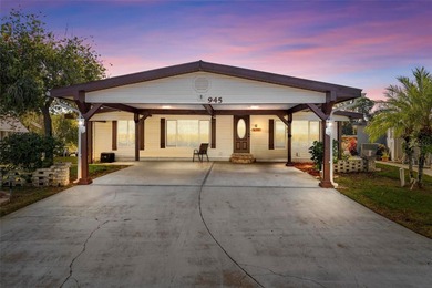 Lake Eustis Home For Sale in Tavares Florida