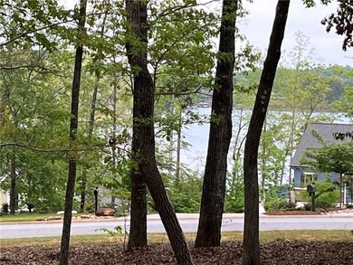 Have you been searching for an interior lot with water views to - photo 3