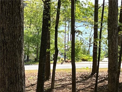 Have you been searching for an interior lot with water views to - photo 4