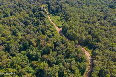 65 acres of prime, wooded land with direct frontage water views - photo 7