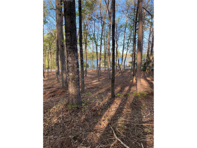 Have you been searching for an interior lot with water views to - photo 8