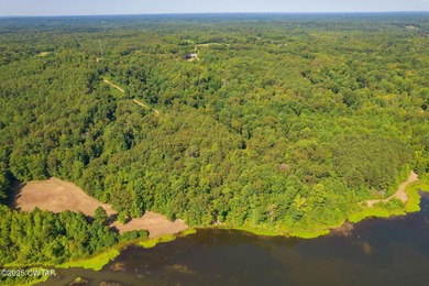 65 acres of prime, wooded land with direct frontage water views - photo 10