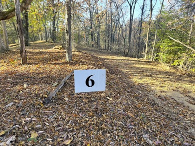 (private lake, pond, creek) Acreage For Sale in Parrottsville Tennessee