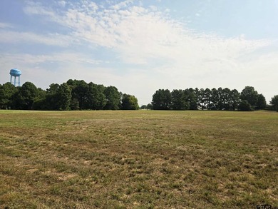 Build your dream home on 2.21 acres in the beautiful Waters Edge - photo 3