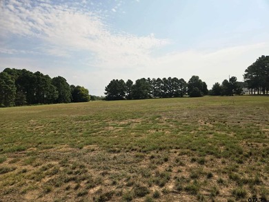 Build your dream home on 2.21 acres in the beautiful Waters Edge - photo 4