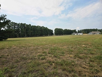 Build your dream home on 2.21 acres in the beautiful Waters Edge - photo 5