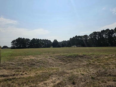Build your dream home on 2.21 acres in the beautiful Waters Edge - photo 7