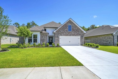 Welcome to the popular Sycamore III floor plan in the - photo 1
