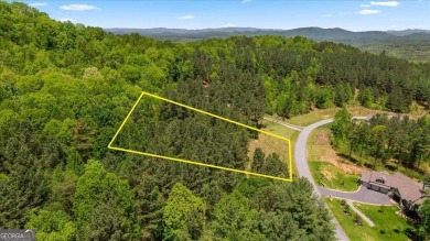 Lake Lot For Sale in Blairsville, Georgia