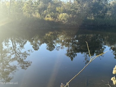 Looking for a big lot on a wide canal at an affordable price - photo 14