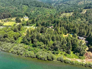 Incredible opportunity to purchase 3.7 acres of river frontage - photo 17