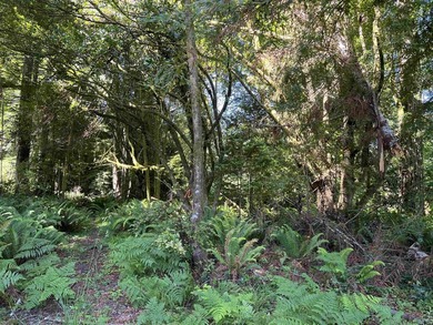 Incredible opportunity to purchase 3.7 acres of river frontage - photo 20