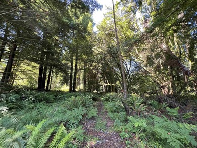 Incredible opportunity to purchase 3.7 acres of river frontage - photo 21