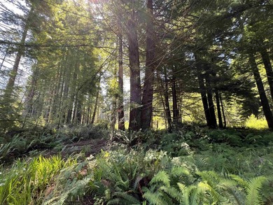 Incredible opportunity to purchase 3.7 acres of river frontage - photo 22