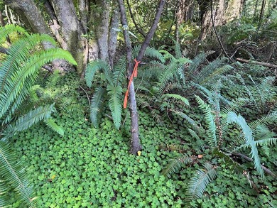 Incredible opportunity to purchase 3.7 acres of river frontage - photo 23