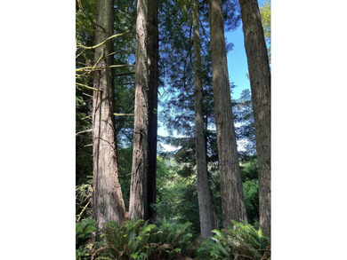 Incredible opportunity to purchase 3.7 acres of river frontage - photo 25