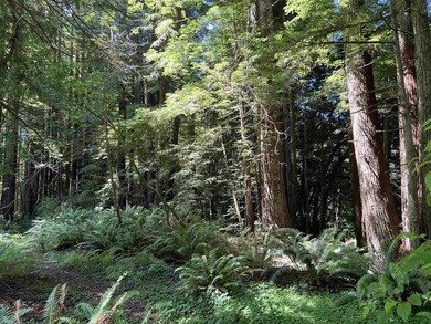 Incredible opportunity to purchase 3.7 acres of river frontage - photo 26